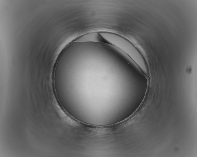 X0000091961189200709271340