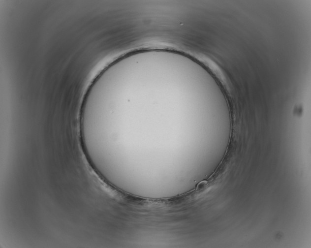 X0000091961191200709271340