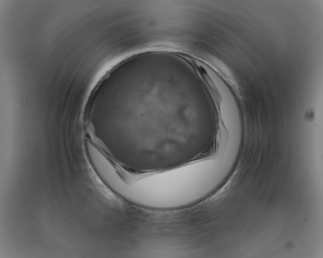 X0000091961192200709271340