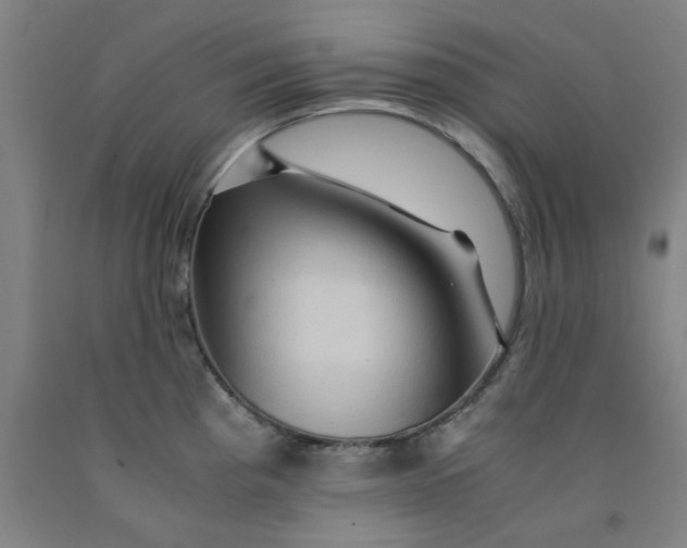 X0000091961193200709271340