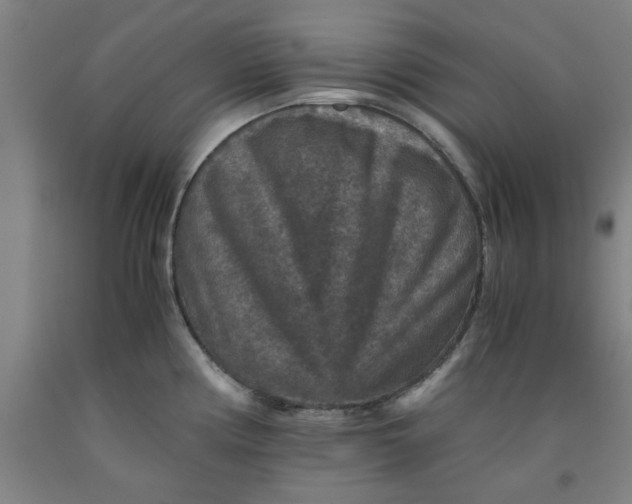 X0000091961194200709271340