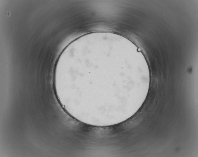 X0000091961195200709271340