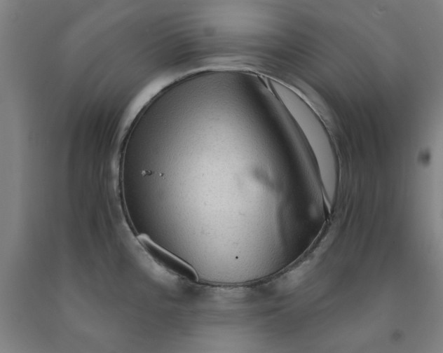 X0000091961196200709271340