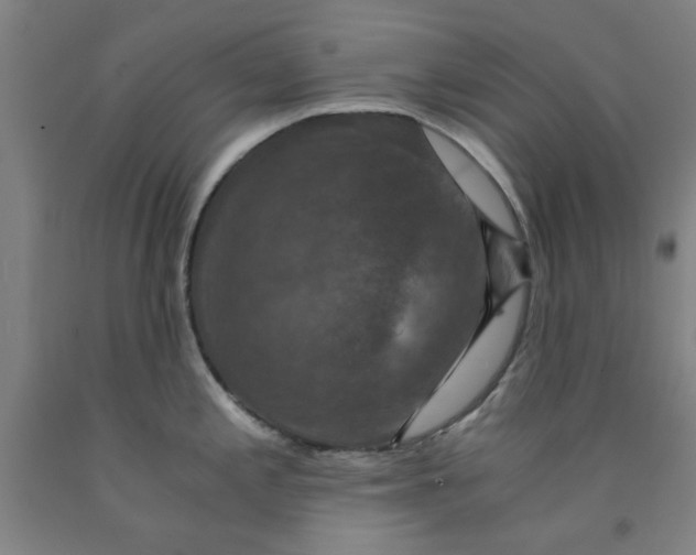 X0000091961197200709271340