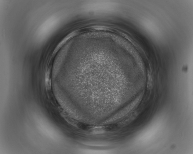 X0000091961198200709271340