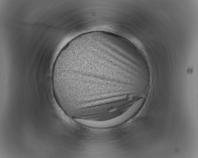 X0000091961200200709271340