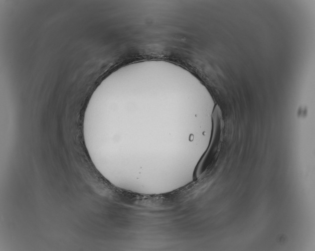 X0000091961201200709271339