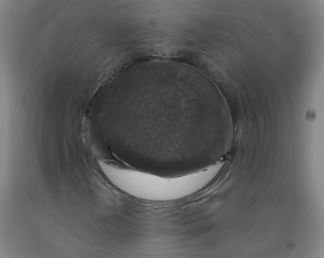 X0000091961202200709271339