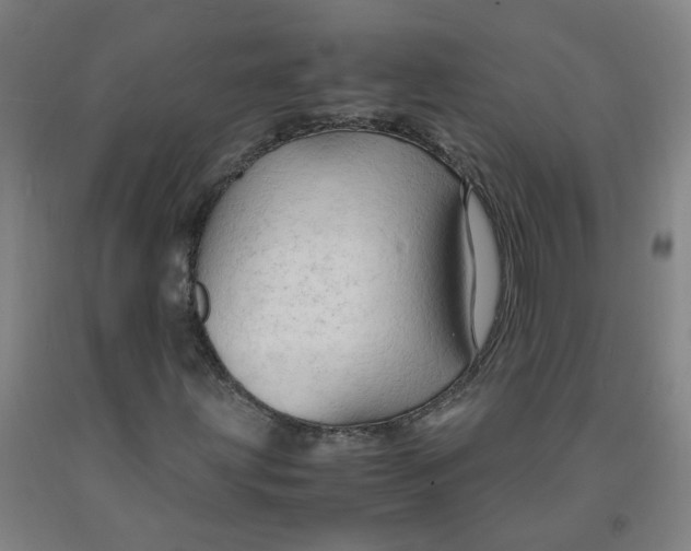 X0000091961203200709271339