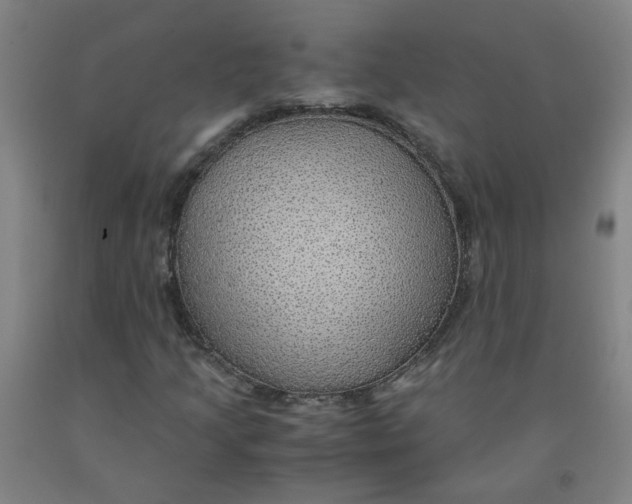 X0000091961205200709271339