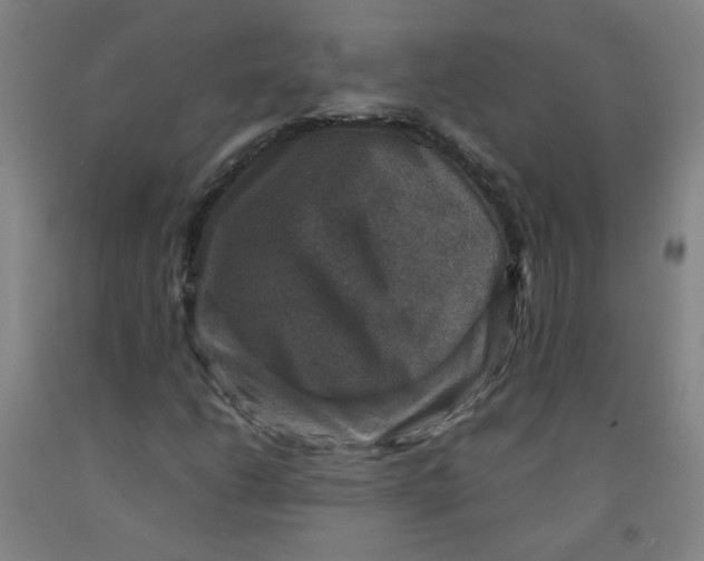 X0000091961206200709271339