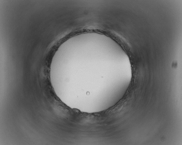 X0000091961207200709271339