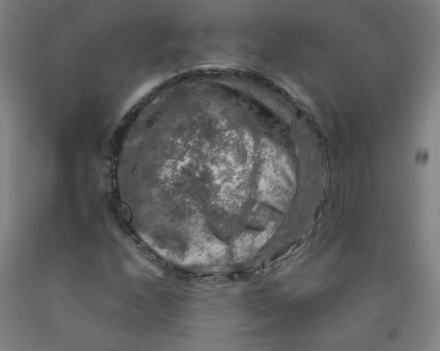 X0000091961208200709271339