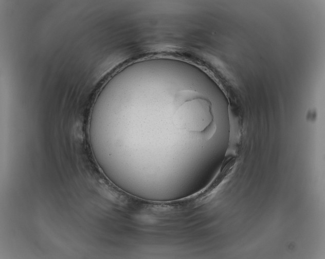 X0000091961209200709271339