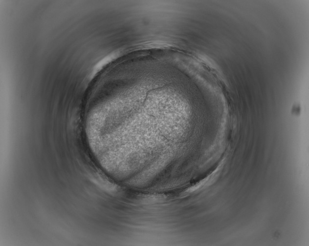 X0000091961210200709271339