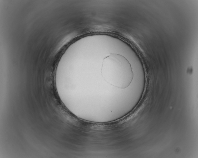 X0000091961211200709271339