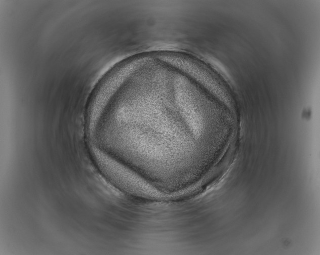 X0000091961212200709271339