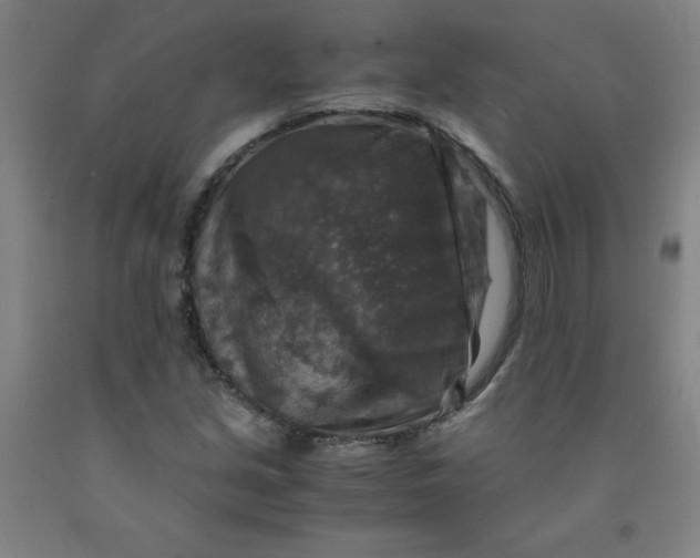 X0000091961213200709271339