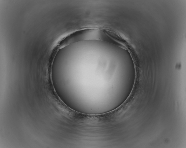 X0000091961214200709271339