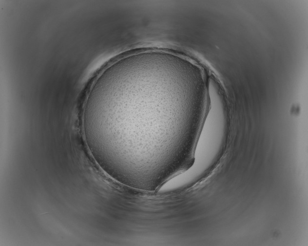 X0000091961215200709271339