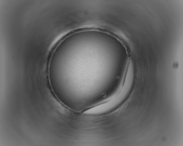 X0000091961216200709271339