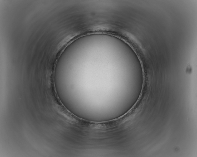 X0000091961217200709271339