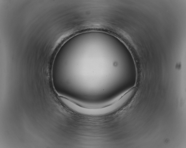 X0000091961218200709271339