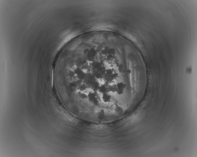 X0000091961219200709271339