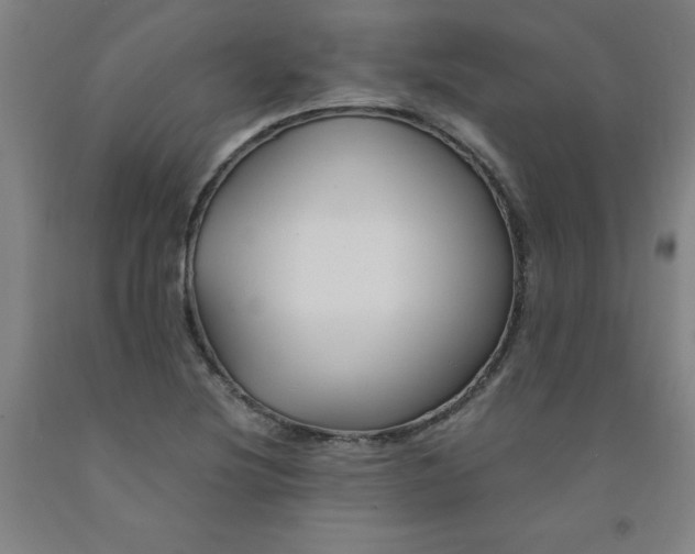 X0000091961220200709271339