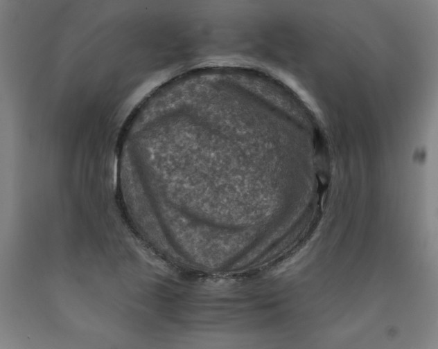 X0000091961221200709271339