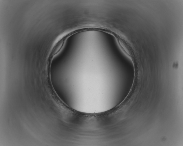 X0000091961222200709271339