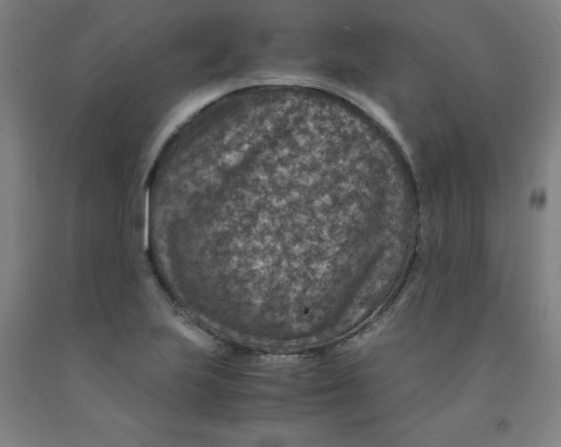 X0000091961223200709271339