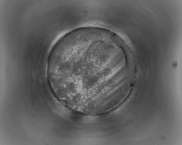 X0000091961224200709271339