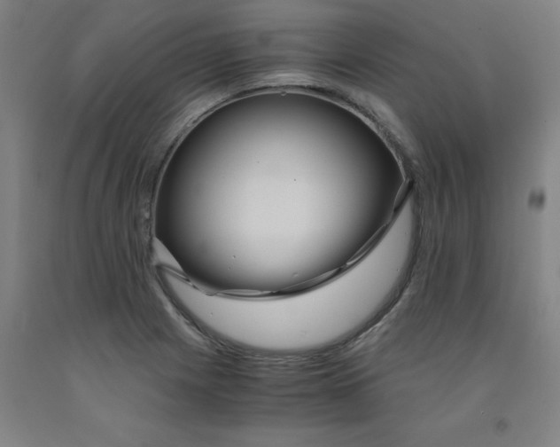 X0000091961225200709271339