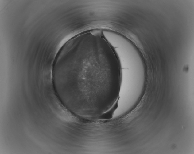 X0000091961226200709271339