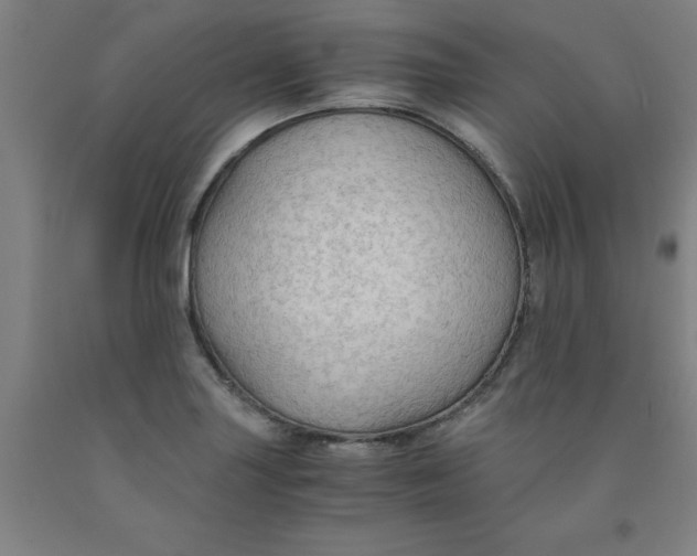 X0000091961227200709271339