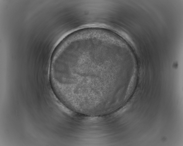 X0000091961228200709271339