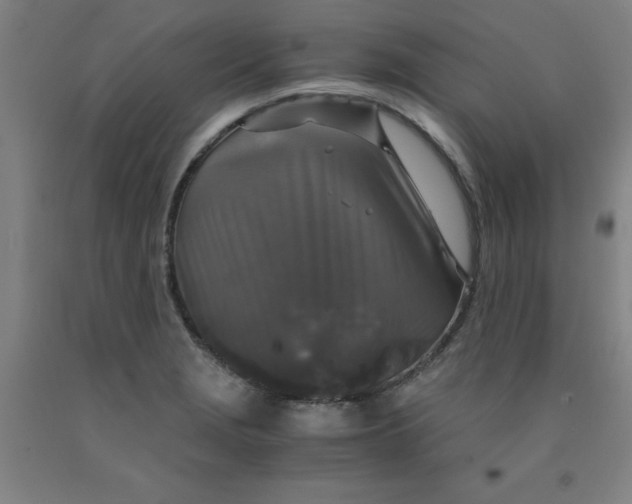 X0000091961229200709271339