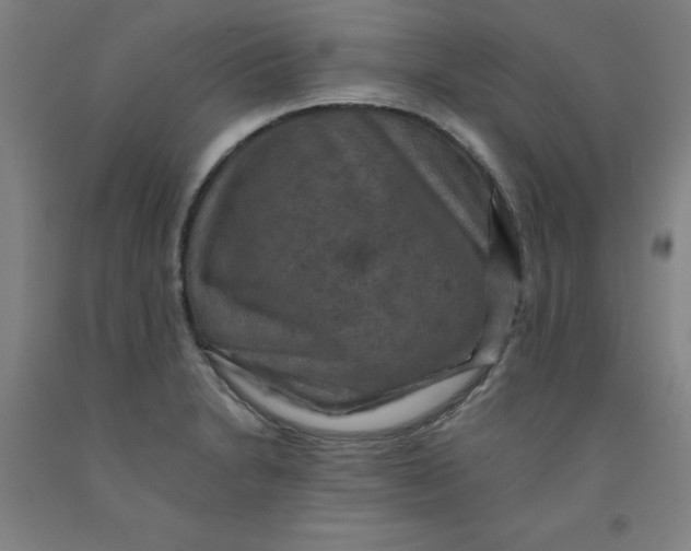 X0000091961230200709271339