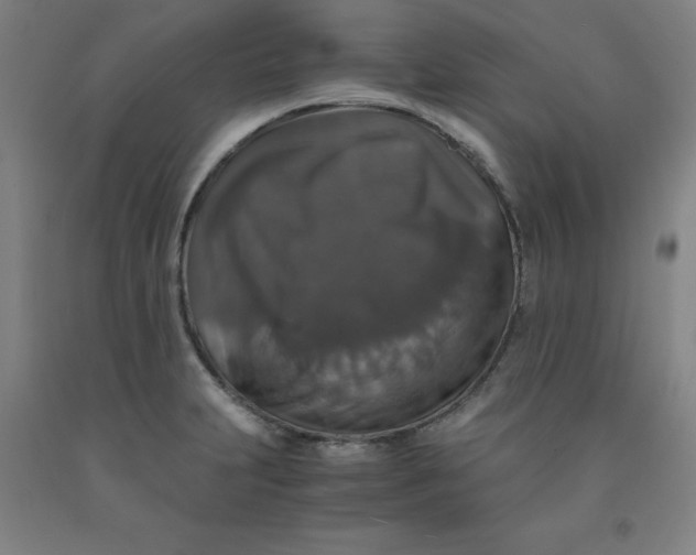 X0000091961231200709271339