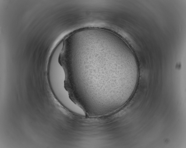 X0000091961232200709271339