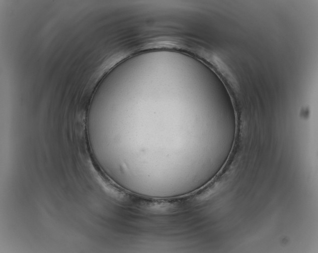 X0000091961233200709271339