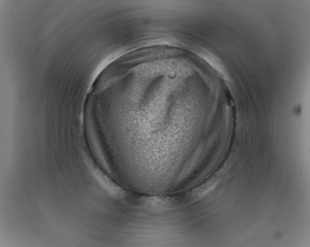 X0000091961234200709271339