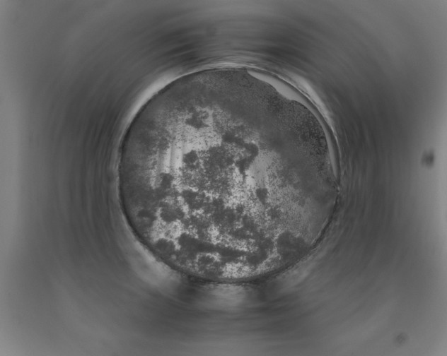 X0000091961235200709271339