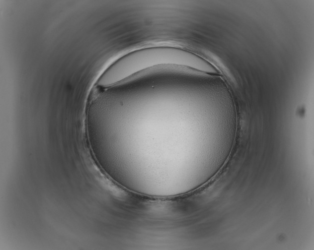 X0000091961236200709271339