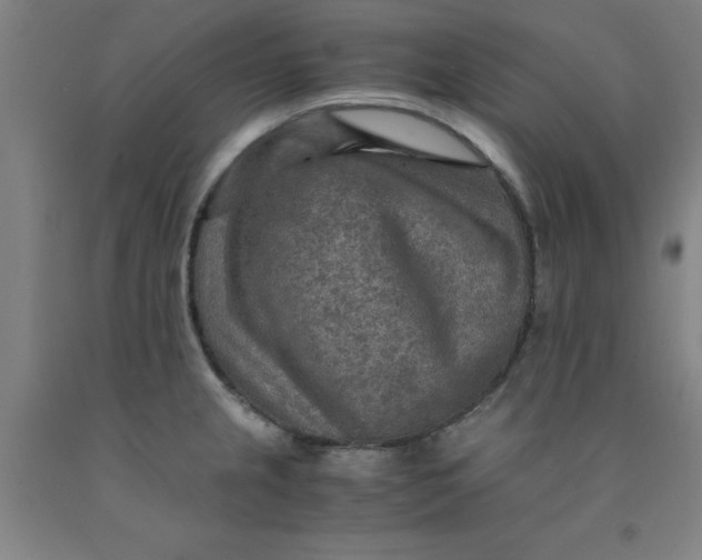 X0000091961237200709271339