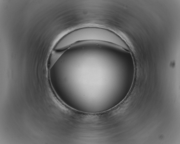 X0000091961238200709271339