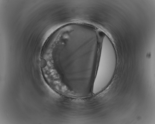 X0000091961239200709271339