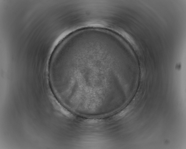 X0000091961240200709271339