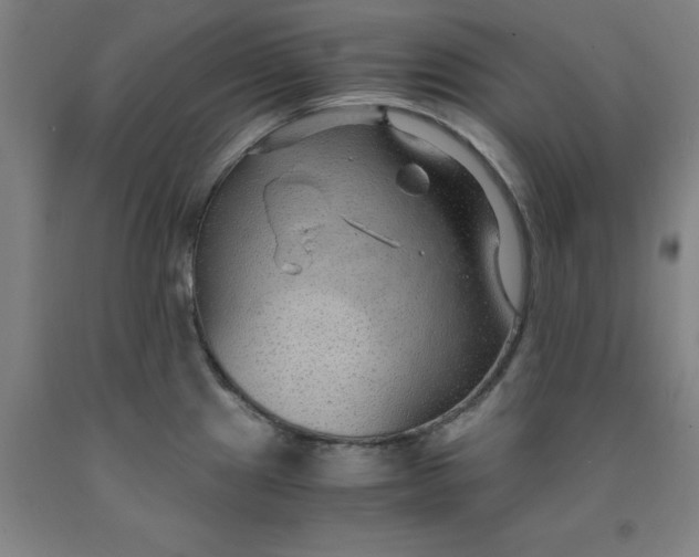 X0000091961241200709271339